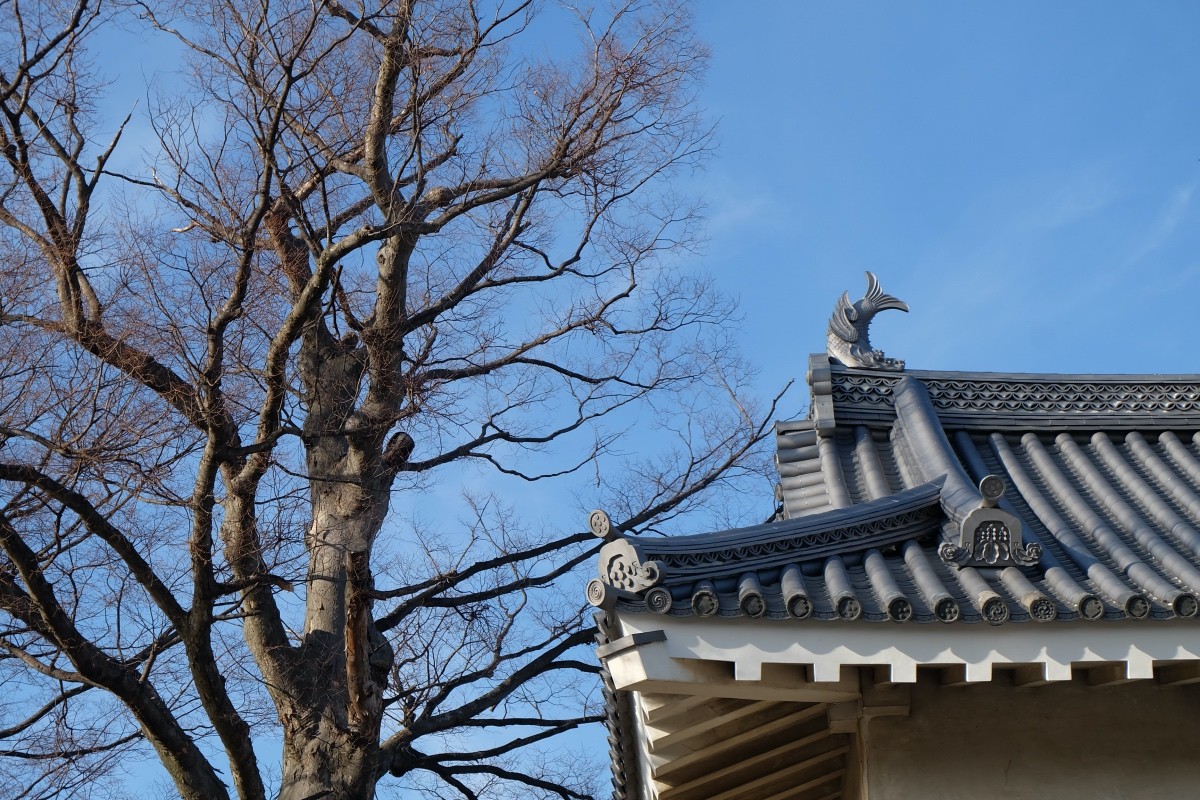 Matsumoto Castle 1 ใน 12 ปราสาทที่เก่าแก่ และสมบูรณ์ที่สุดของญี่ปุ่น