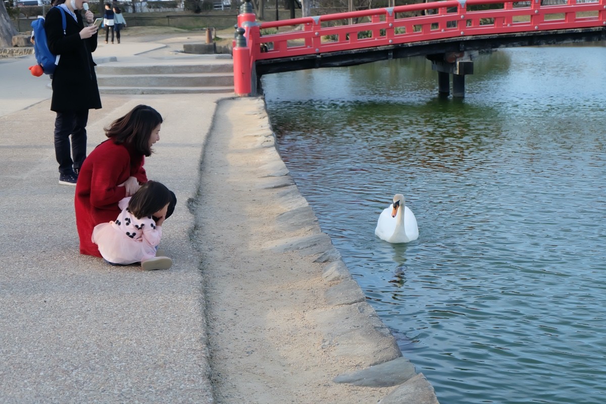 Matsumoto Castle 1 ใน 12 ปราสาทที่เก่าแก่ และสมบูรณ์ที่สุดของญี่ปุ่น