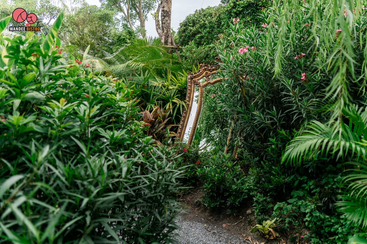 Bubble in the forest คาเฟ่สุดฮอต บรรยากาศดี ถ่ายรูปสวย ได้ฟีลลิ่งมัลดีฟส์