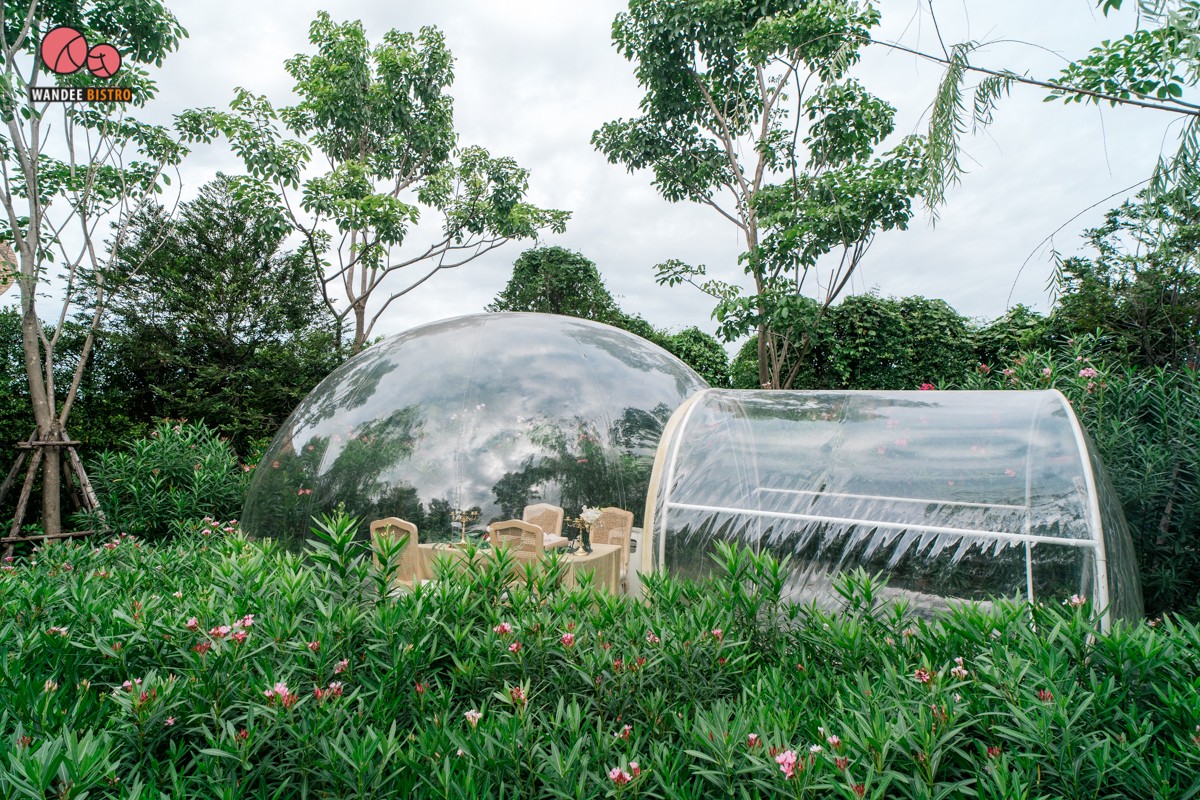 Bubble in the forest คาเฟ่สุดฮอต บรรยากาศดี ถ่ายรูปสวย ได้ฟีลลิ่งมัลดีฟส์