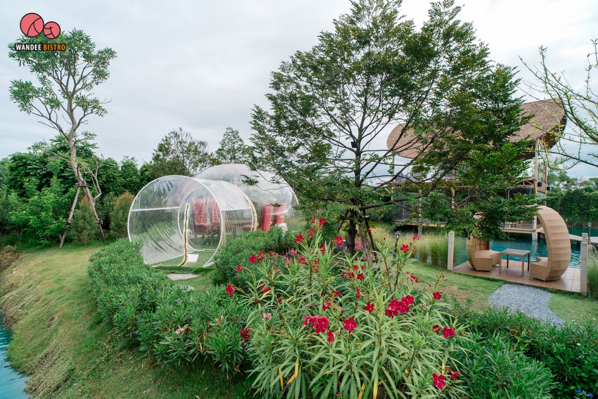 Bubble in the forest คาเฟ่สุดฮอต บรรยากาศดี ถ่ายรูปสวย ได้ฟีลลิ่งมัลดีฟส์