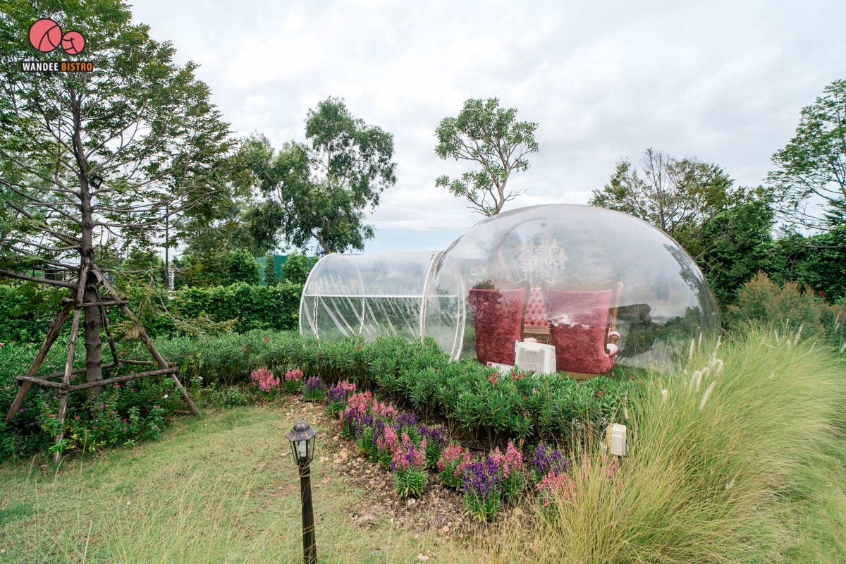 Bubble in the forest คาเฟ่สุดฮอต บรรยากาศดี ถ่ายรูปสวย ได้ฟีลลิ่งมัลดีฟส์