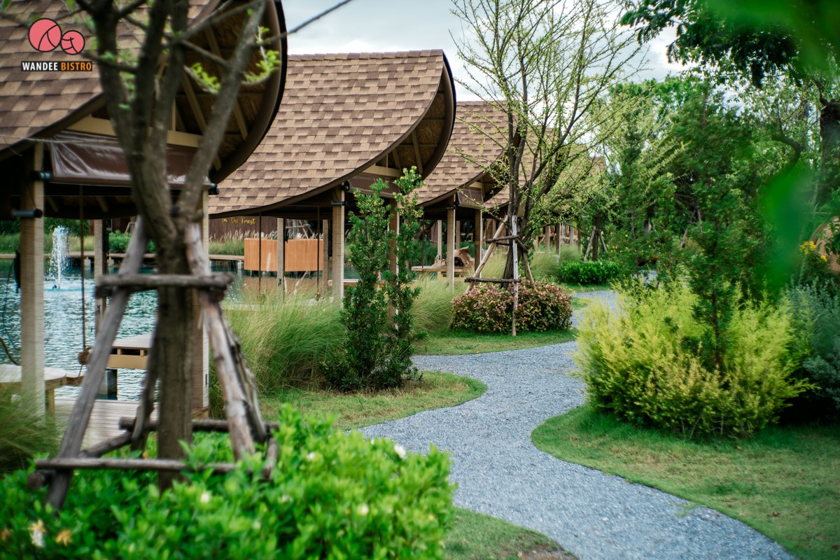 Bubble in the forest คาเฟ่สุดฮอต บรรยากาศดี ถ่ายรูปสวย ได้ฟีลลิ่งมัลดีฟส์ Bubble in the forest คาเฟ่สุดฮอต บรรยากาศดี ถ่ายรูปสวย ได้ฟีลลิ่งมัลดีฟส์