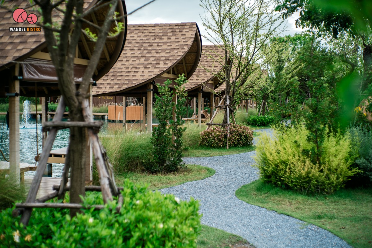 Bubble in the forest คาเฟ่สุดฮอต บรรยากาศดี ถ่ายรูปสวย ได้ฟีลลิ่งมัลดีฟส์