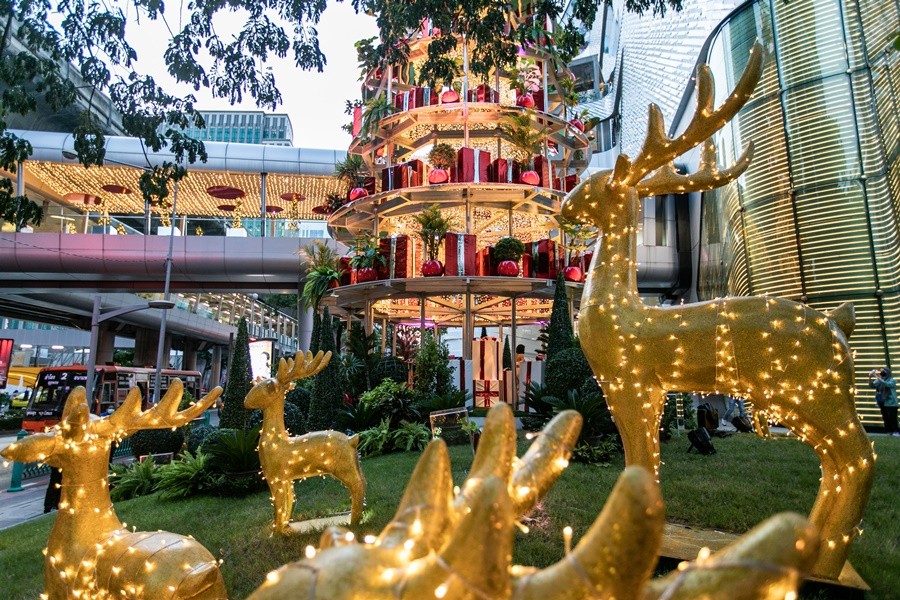 ครั้งแรกในไทย ต้นคริสต์มาสยักษ์ สูงที่สุดในเอเชียตะวันออกเฉียงใต้ ที่เซ็นทรัล เอ็มบาสซี