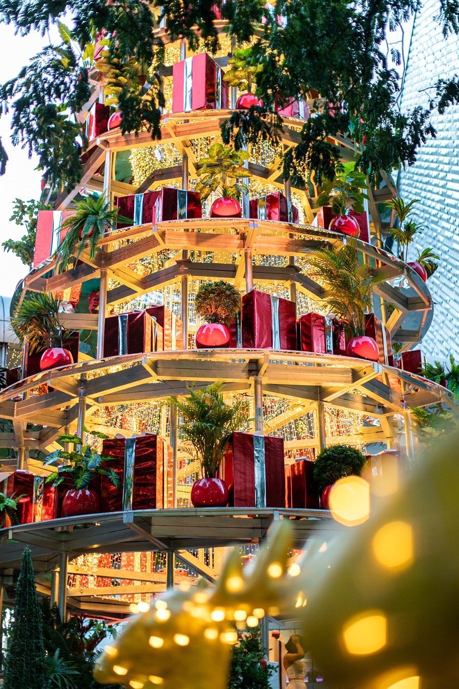 ครั้งแรกในไทย ต้นคริสต์มาสยักษ์ สูงที่สุดในเอเชียตะวันออกเฉียงใต้ ที่เซ็นทรัล เอ็มบาสซี