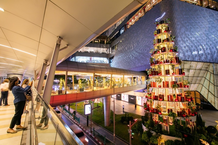 ครั้งแรกในไทย ต้นคริสต์มาสยักษ์ สูงที่สุดในเอเชียตะวันออกเฉียงใต้ ที่เซ็นทรัล เอ็มบาสซี