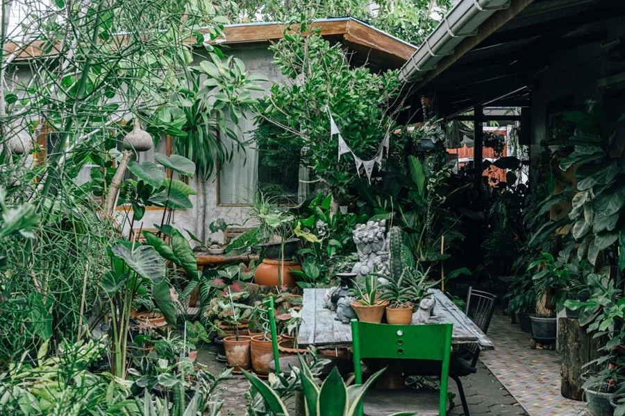 ฉลู คาเฟ่ บาร์กาแฟบนรถไซส์จิ๋ว บรรยากาศร่มรื่น 