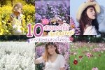 10 พิกัดสวนดอกไม้ เช็คอินถ่ายรูป สวยสุดๆ ทั่วเมืองไทย