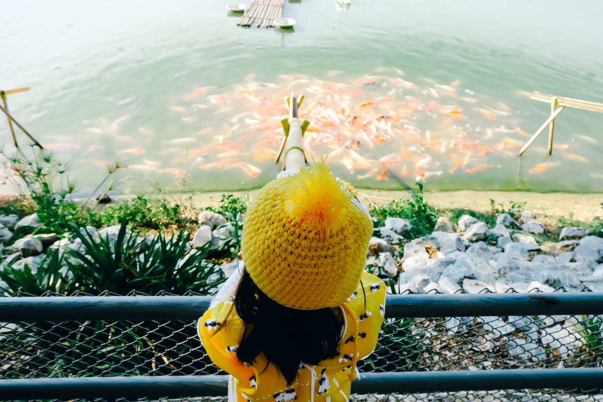 หนาวนี้พาลูกแอ่ว สิงห์ปาร์ค เชียงราย ดีต่อใจ ไฉไลกว่าเดิม