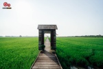 บ้านปายนา นครชัยศรี ถ่ายรูปสะพานทอดยาวในทุ่งนา สัมผัสลมพัดโชยอากาศดีสุดๆ 