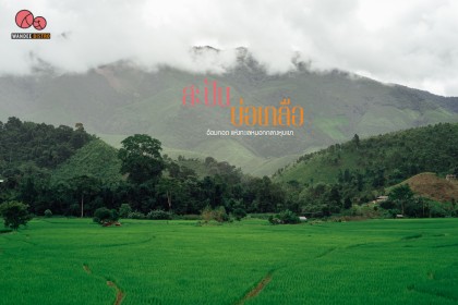 สะปัน บ่อเกลือ ที่เที่ยวจังหวัดน่าน สูดอากาศสดชื่น ชมวิวสวยธรรมชาติสีเขียว