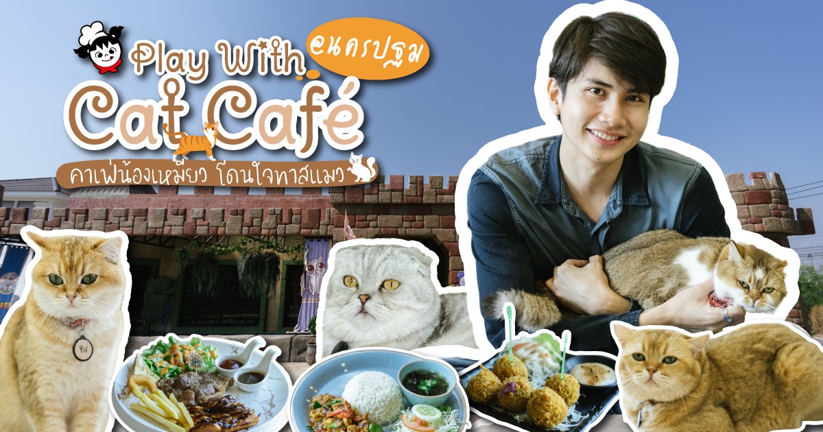 Play With Cat Cafe @นครปฐม คาเฟ่น้องเหมียว โดนใจทาสแมว