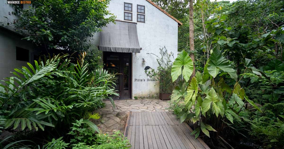 Pitta s House คาเฟ่สีขาว เท่ๆ สไตล์ลอฟท์ ใกล้ชิดธรรมชาติ บรรยากาศเหมือนอยู่กลางป่า 