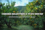 Cheers Selection x Yuzu House เปิดเบื้องหลังฤดูกาลเก็บเกี่ยว ส้มยูซุ