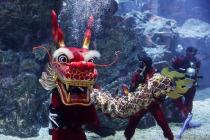 ซีไลฟ์ แบงคอก ต้อนรับปีมังกรทอง ตื่นตาไปกับการเชิดมังกรใต้น้ำในแท้งก์ฉลาม 