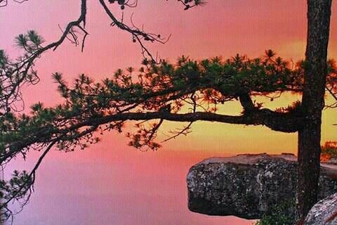 10 สถานที่ ควงแฟนเที่ยว วาเลนไทน์นี้ต้องไป