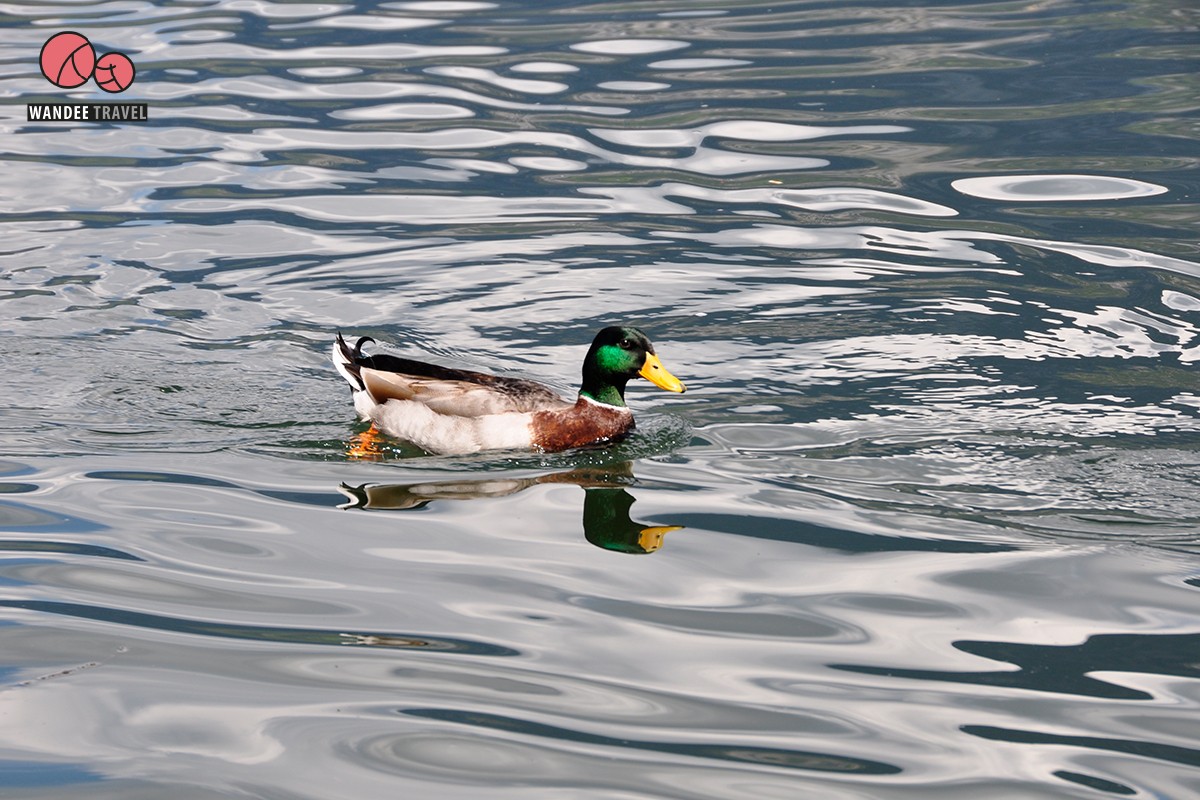 ครั้งหนึ่งในชีวิต Hallstatt เมืองแห่งทะเลสาบกลางหุบเขา