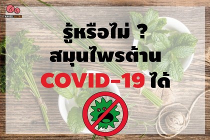 ผัก ผลไม้ สมุนไพร สู้ COVID-19