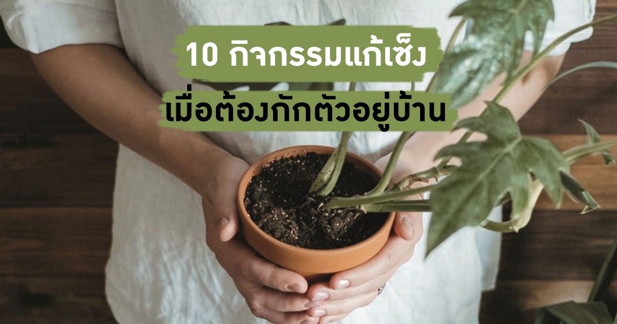 10 กิจกรรมแก้เซ็ง เมื่อต้องกักตัวอยู่บ้าน