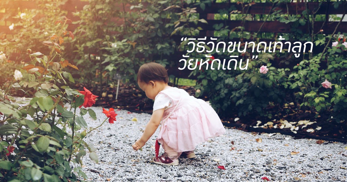 ลูกถึงวัยหัดเดิน วัดเท้าลูกซื้อรองเท้า ยังไงดีนะ
