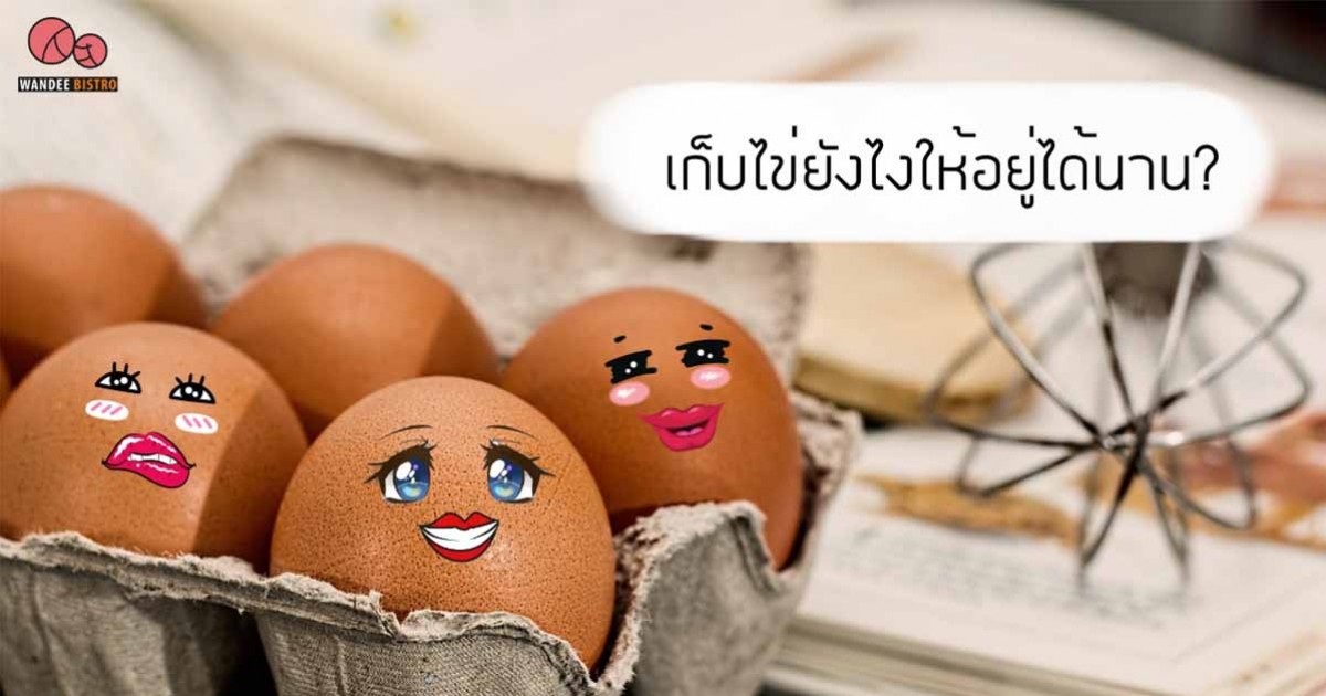 เก็บไข่ยังไงให้อยู่ได้นาน? มี 4 วิธีง่ายๆ มาดูกัน