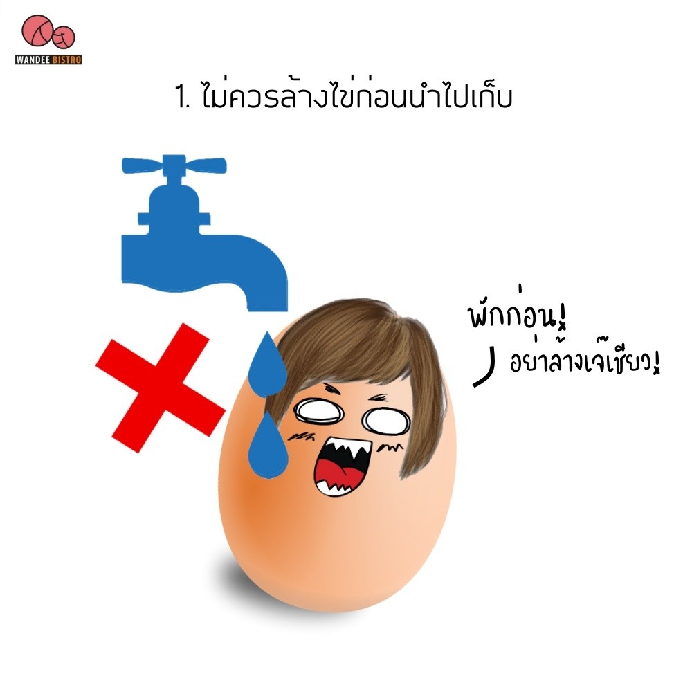 เก็บไข่ยังไงให้อยู่ได้นาน? มี 4 วิธีง่ายๆ มาดูกัน