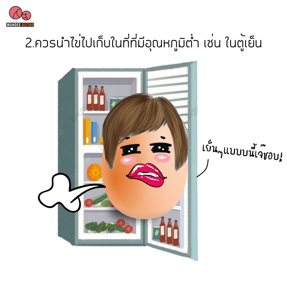 เก็บไข่ยังไงให้อยู่ได้นาน? มี 4 วิธีง่ายๆ มาดูกัน
