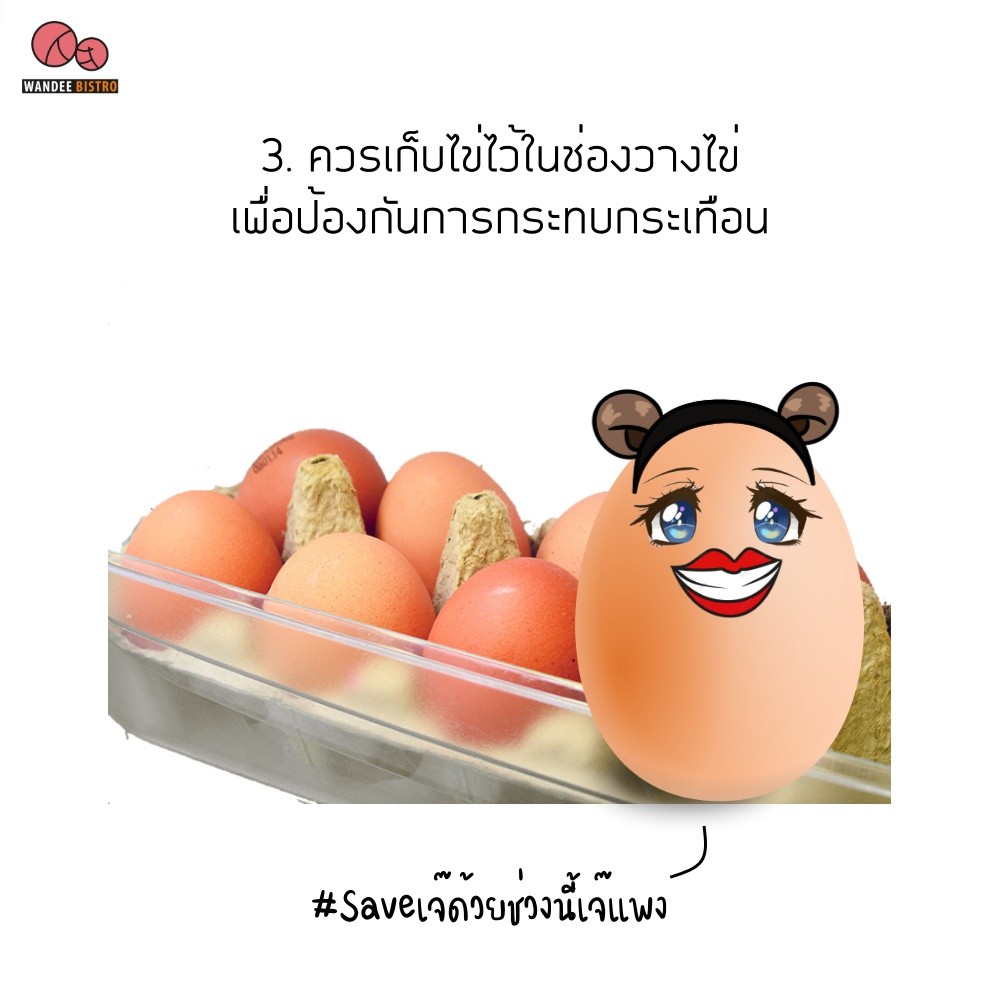 เก็บไข่ยังไงให้อยู่ได้นาน? มี 4 วิธีง่ายๆ มาดูกัน