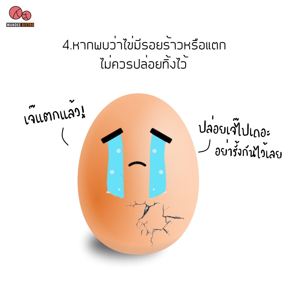 เก็บไข่ยังไงให้อยู่ได้นาน? มี 4 วิธีง่ายๆ มาดูกัน