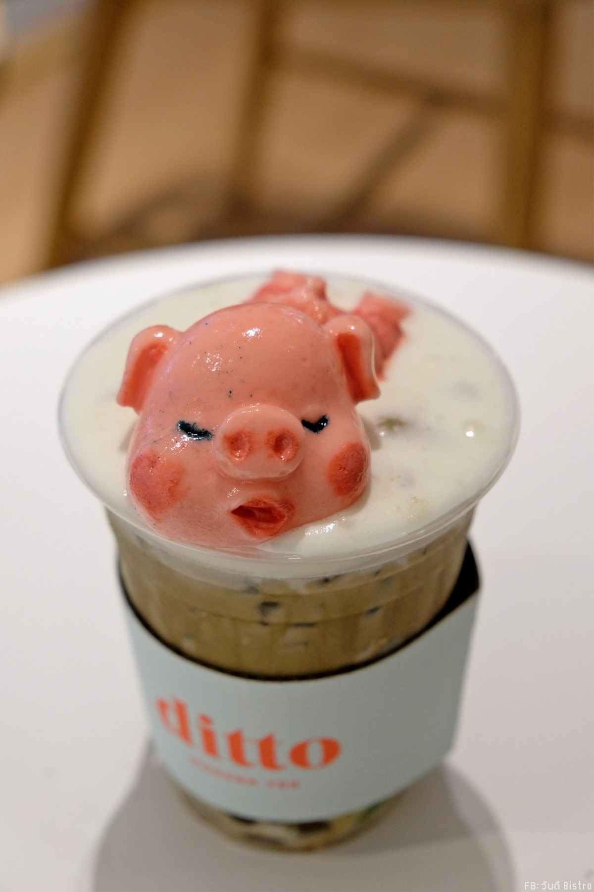 Ditto Modern Tea ร้านชานมหมูน้อยลอยคอ