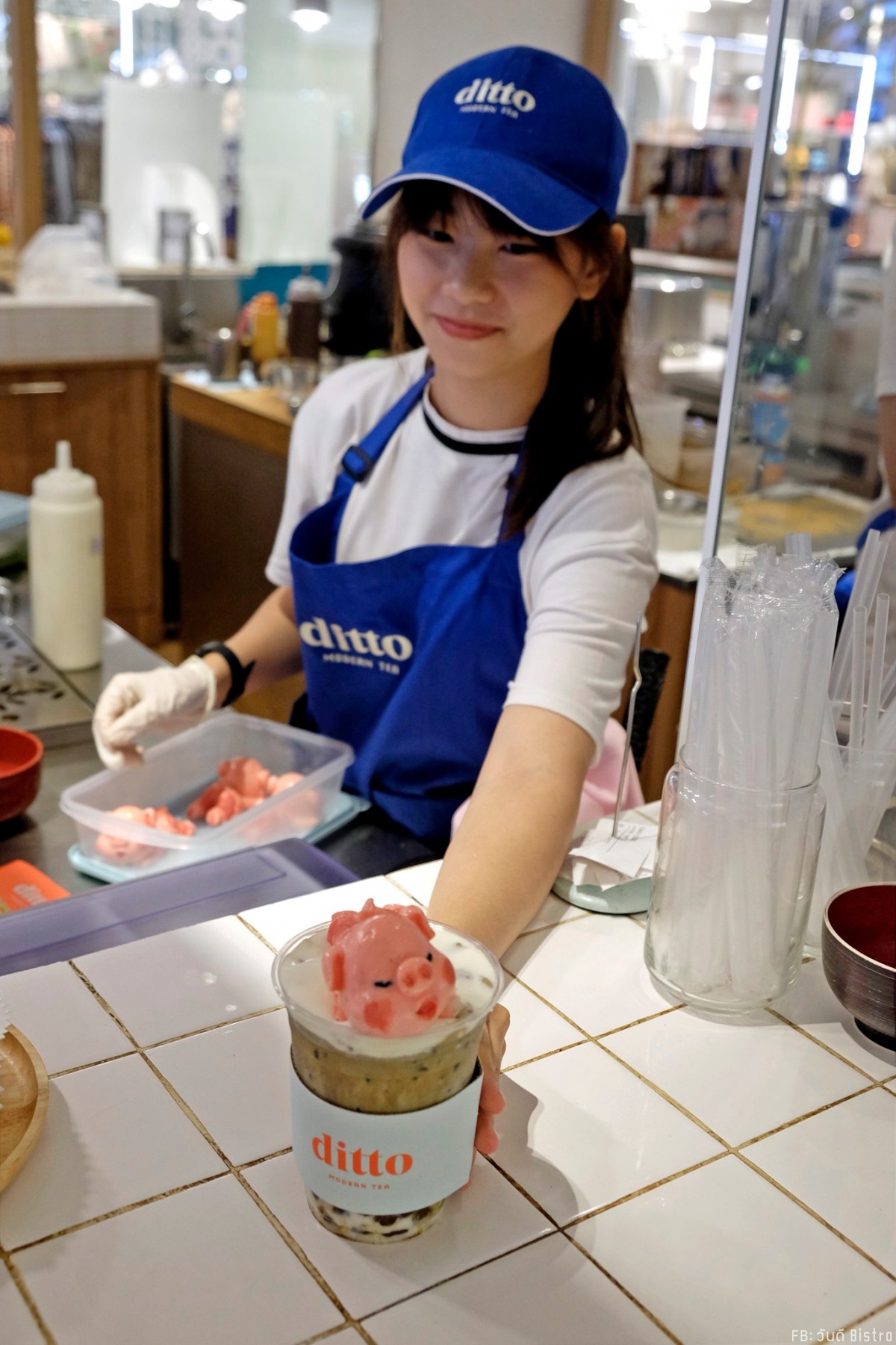 Ditto Modern Tea ร้านชานมหมูน้อยลอยคอ