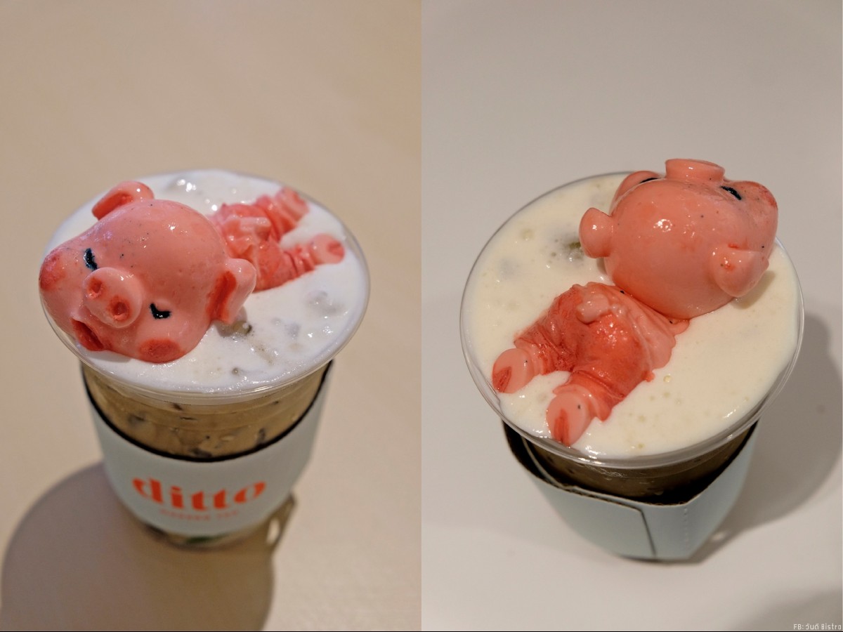 Ditto Modern Tea ร้านชานมหมูน้อยลอยคอ