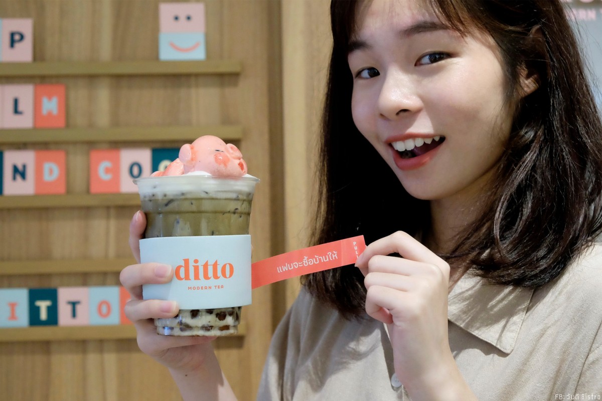 Ditto Modern Tea ร้านชานมหมูน้อยลอยคอ