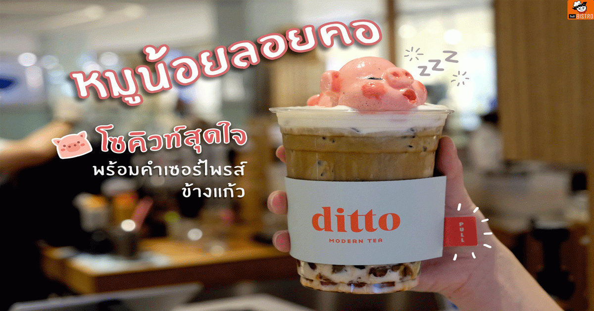 Ditto Modern Tea ร้านชานมหมูน้อยลอยคอ
