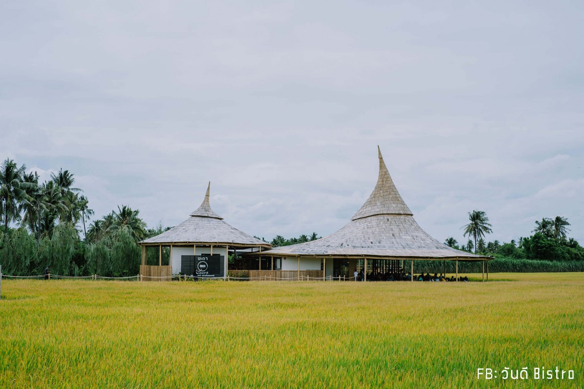 ChataThammachart (ชะตาธรรมชาติ) จิบน้ำพร้อมอาหารรสชาติดี ท่ามกลางทุ่งนาเขียวขจี นครปฐม