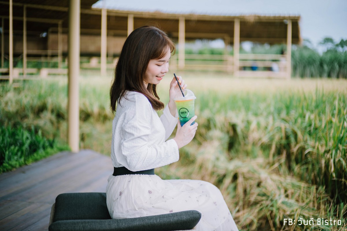 ChataThammachart (ชะตาธรรมชาติ) จิบน้ำพร้อมอาหารรสชาติดี ท่ามกลางทุ่งนาเขียวขจี นครปฐม