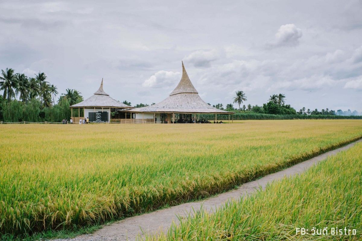 ChataThammachart (ชะตาธรรมชาติ) จิบน้ำพร้อมอาหารรสชาติดี ท่ามกลางทุ่งนาเขียวขจี นครปฐม