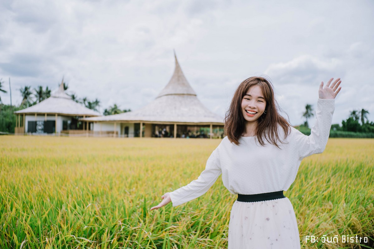 ChataThammachart (ชะตาธรรมชาติ) จิบน้ำพร้อมอาหารรสชาติดี ท่ามกลางทุ่งนาเขียวขจี นครปฐม