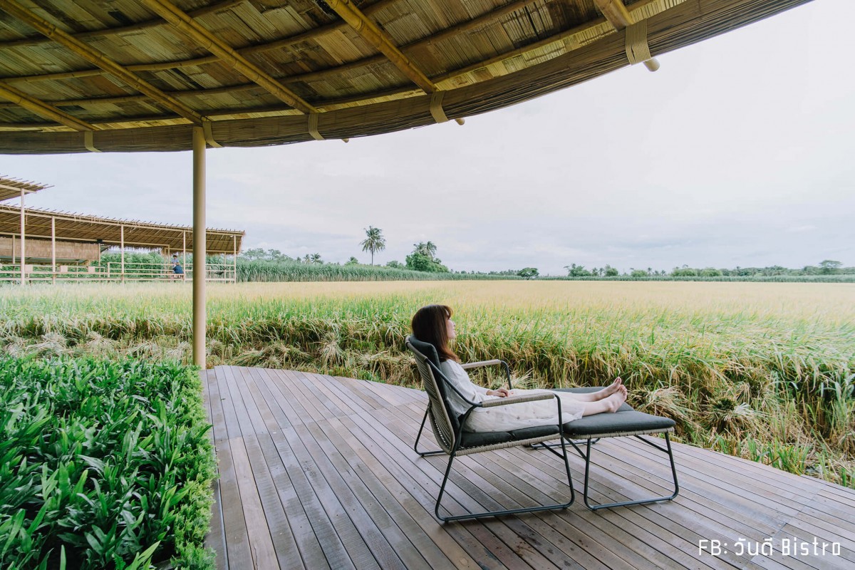 ChataThammachart (ชะตาธรรมชาติ) จิบน้ำพร้อมอาหารรสชาติดี ท่ามกลางทุ่งนาเขียวขจี นครปฐม