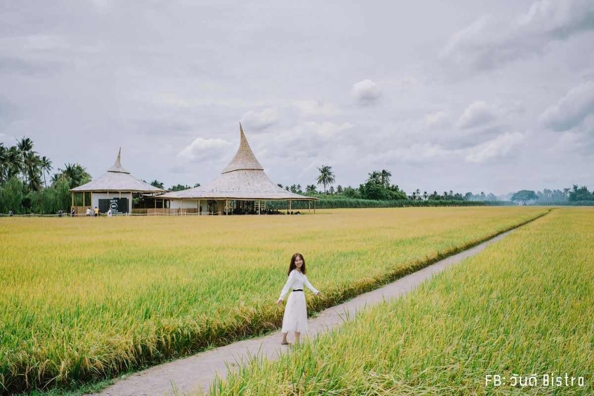 ChataThammachart (ชะตาธรรมชาติ) จิบน้ำพร้อมอาหารรสชาติดี ท่ามกลางทุ่งนาเขียวขจี นครปฐม