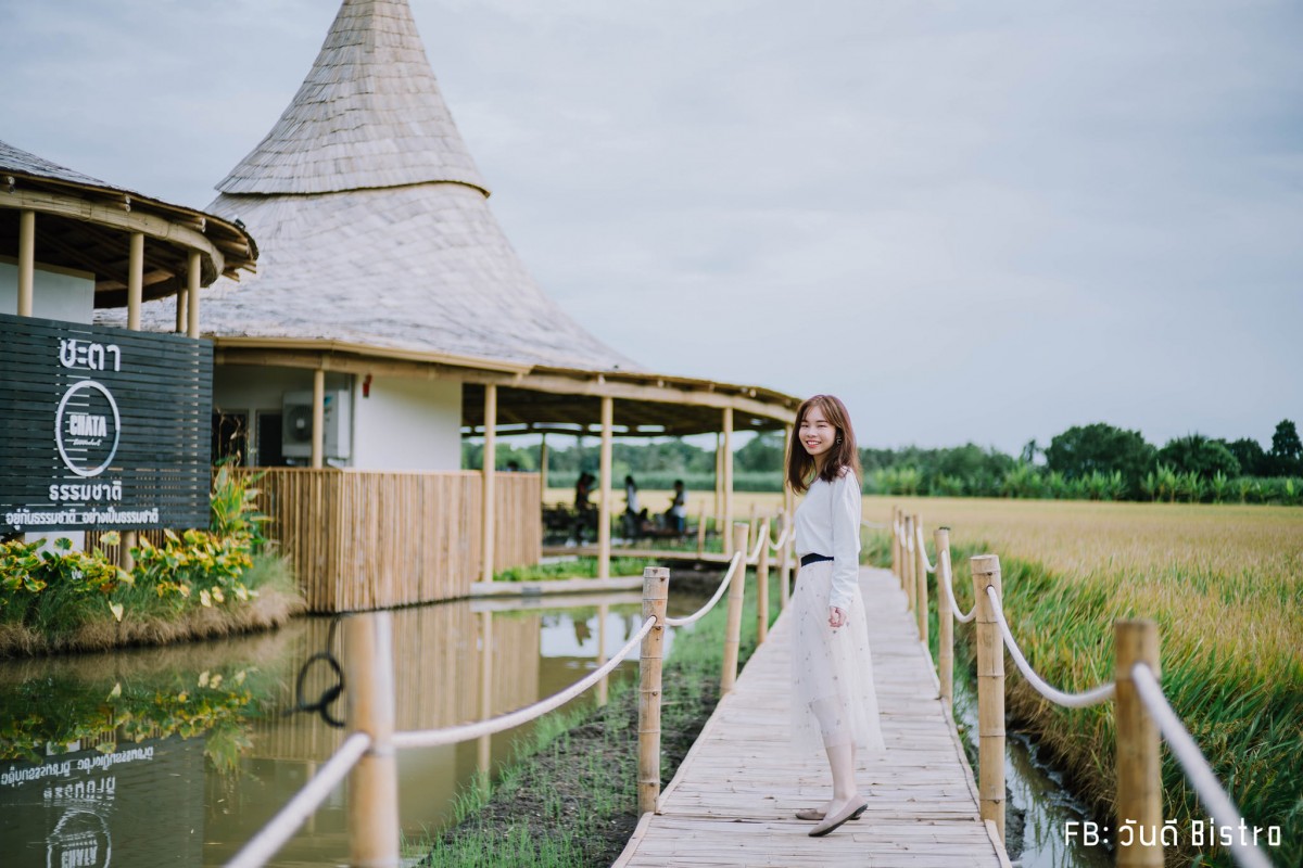 ChataThammachart (ชะตาธรรมชาติ) จิบน้ำพร้อมอาหารรสชาติดี ท่ามกลางทุ่งนาเขียวขจี นครปฐม