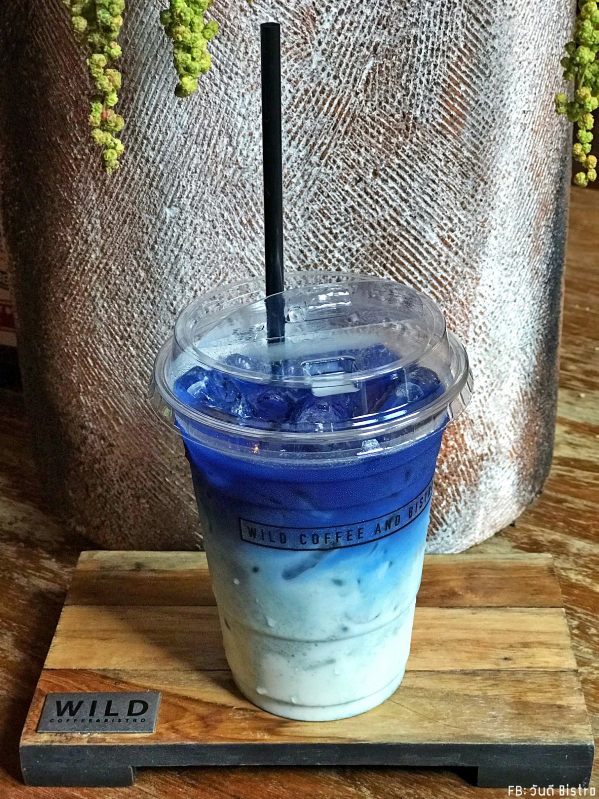 Wild Coffee & Bistro สโลว์ไลฟ์ 360 องศา ณ ช่างเคี่ยน
