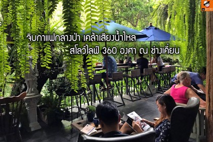 Wild Coffee & Bistro สโลว์ไลฟ์ 360 องศา ณ ช่างเคี่ยน