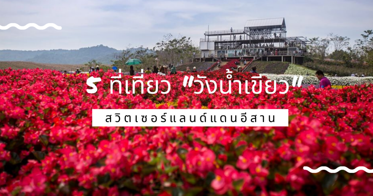 เที่ยวได้ทั้งปี วังน้ำเขียว สวิตเซอร์แลนด์แดนอีสาน รวมแลนมาร์คสำคัญไปแล้วไม่ควรพลาด
