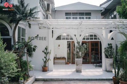 BO TREE CAFE & BISTRO ร้านอาหารและคาเฟ่ บรรยากาศแสนอบอุ่น ย่านเสนานิคม
