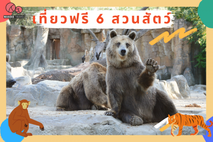 ไปเที่ยวกัน! 6 สวนสัตว์เปิดให้เที่ยวฟรี 15 มิ.ย.- 30 มิ.ย. 63 นี้ เท่านั้น!