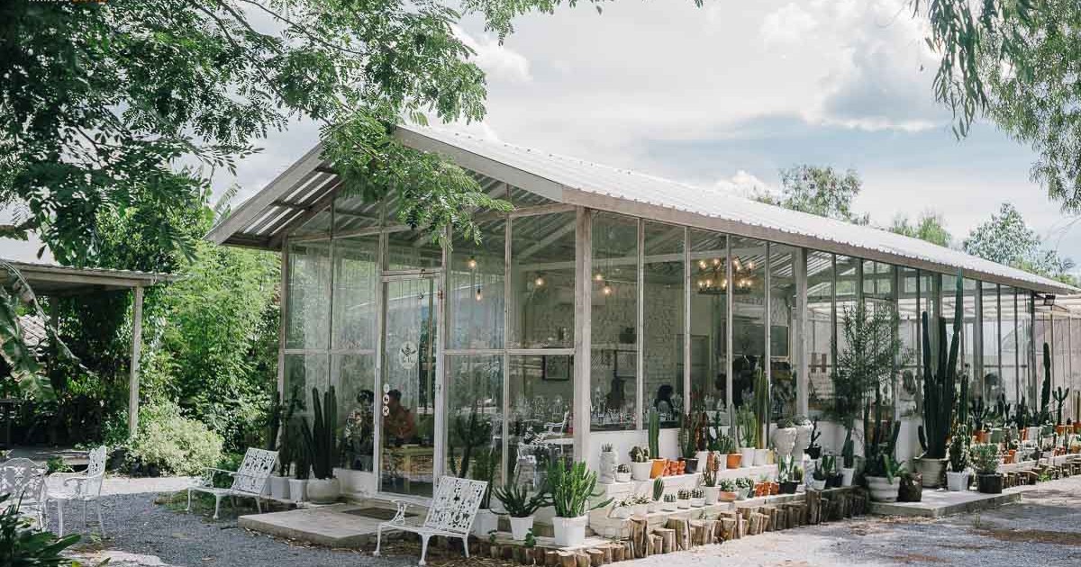 The Pine Farm & Cafe คาเฟ่ของคนรักแคคตัส คลองลัดมะยม