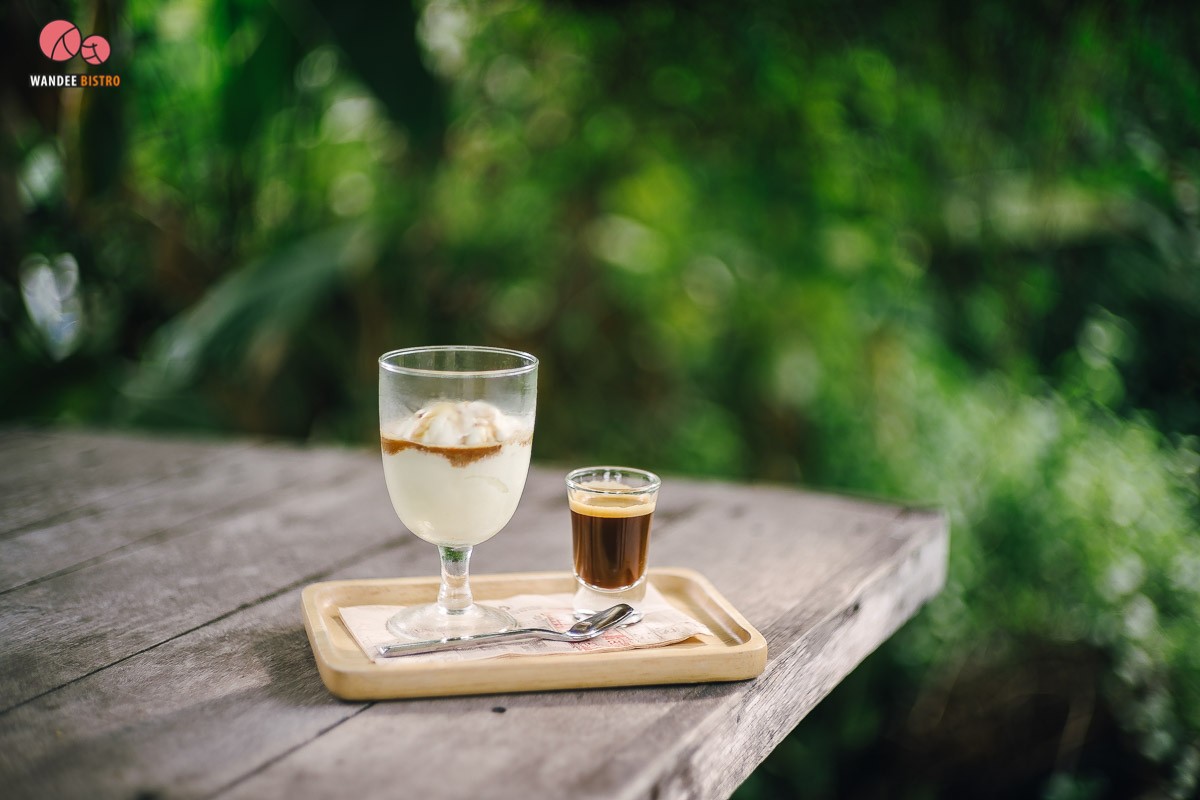 The Pine Farm & Cafe คาเฟ่ของคนรักแคคตัส คลองลัดมะยม