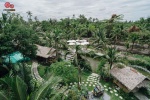 The Ozone Bangkrajao คาเฟ่และที่พักสุดชิลล์กลางสวนมะพร้าว